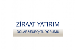 USD/TRY: Petrol fiyatlarındaki sert düşüş ve Suriye'de jeopolitik risklerin azalabileceğine yönelik haber akışı TL'yi desteklemeye devam ederken