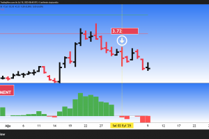 ZOREN-3.72-BEARISH SENTIMENT-02.09.25